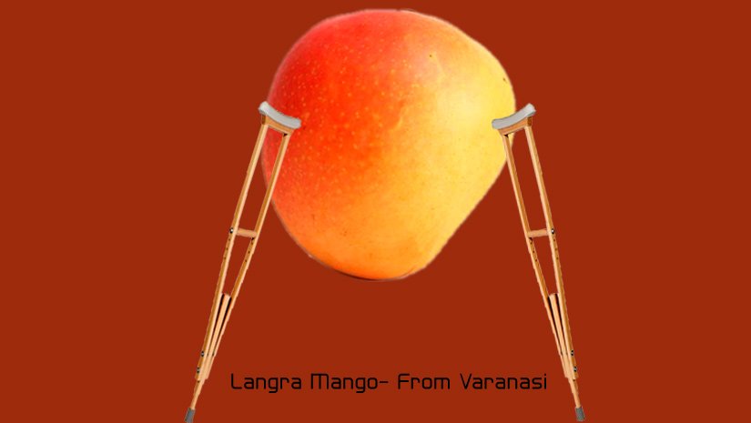 Langra-Mango--from-Varanasi