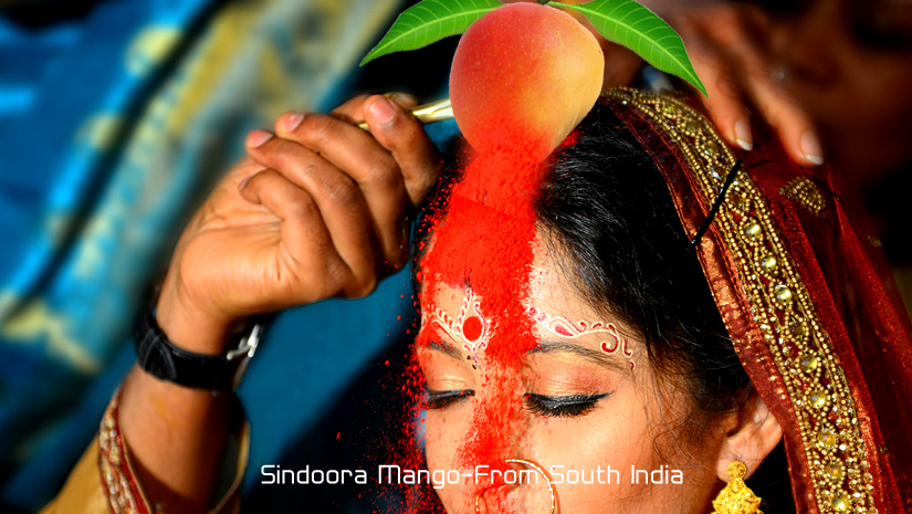 Sindoora-Aam-From-south-ind